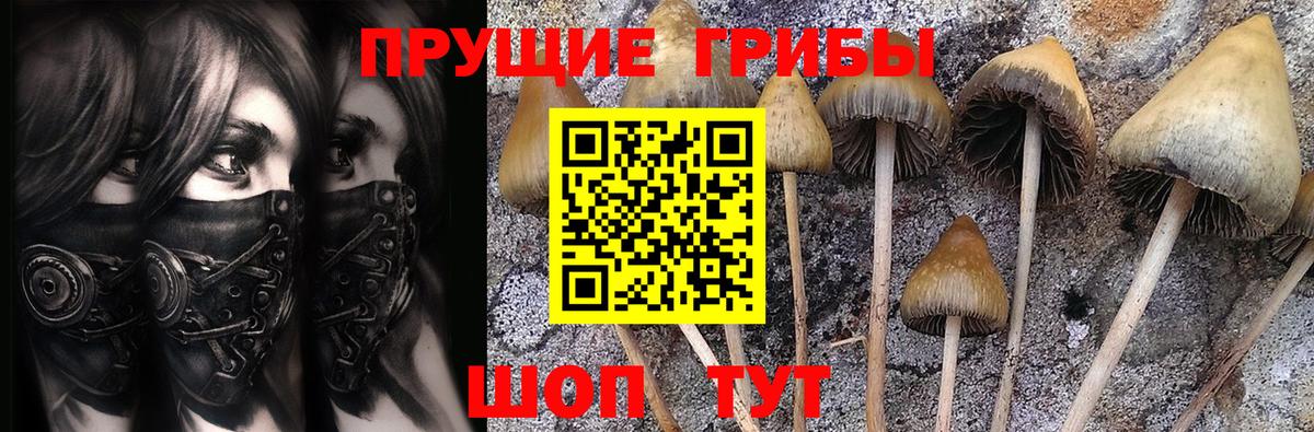 Галлюциногенные грибы мицелий Нижневартовск